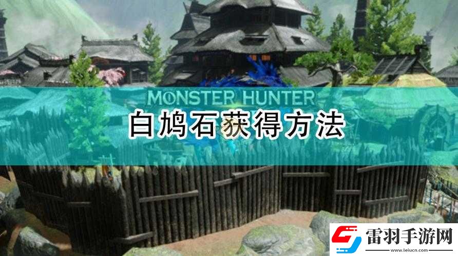 怪物獵人世界白鳩石位置及獲得方法詳細介紹大揭秘