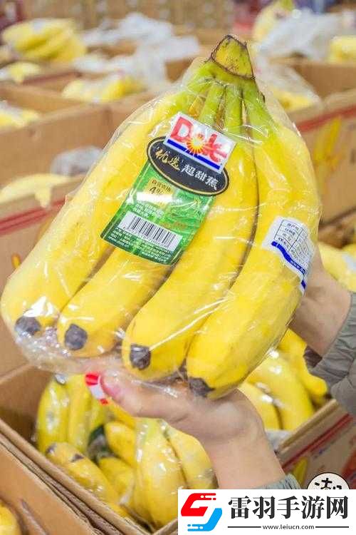 成都巨香蕉商貿(mào)