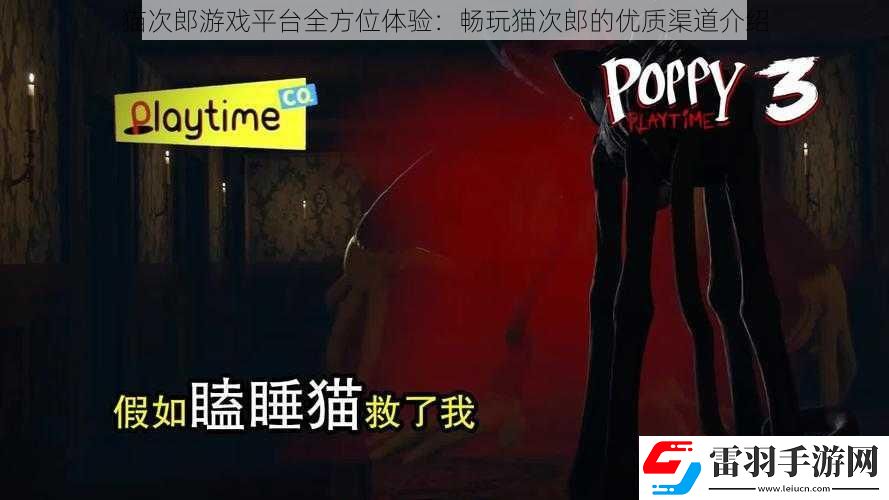 貓次郎游戲平臺全方位體驗