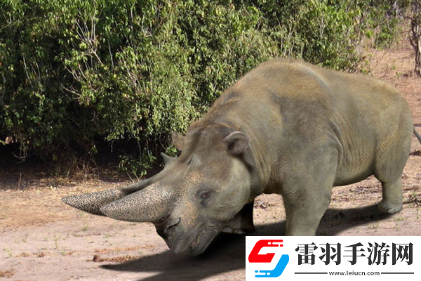 已經滅絕的十大動物