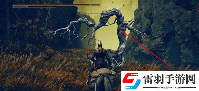 艾爾登法環母親啊怎么獲得DLC母親啊姿勢獲得方法
