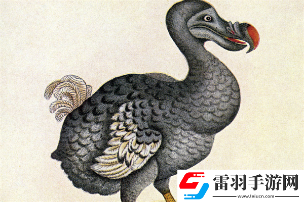 已經滅絕的十大動物