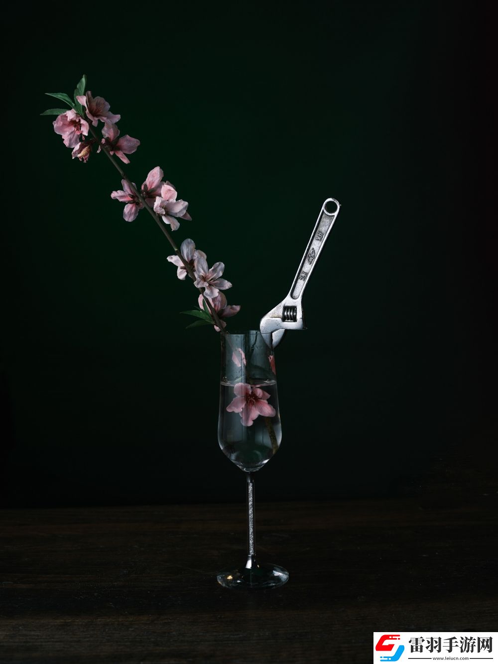 2024街頭霸王挑戰(zhàn)賽”獲獎結(jié)果正式揭曉