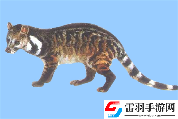 已經滅絕的十大動物