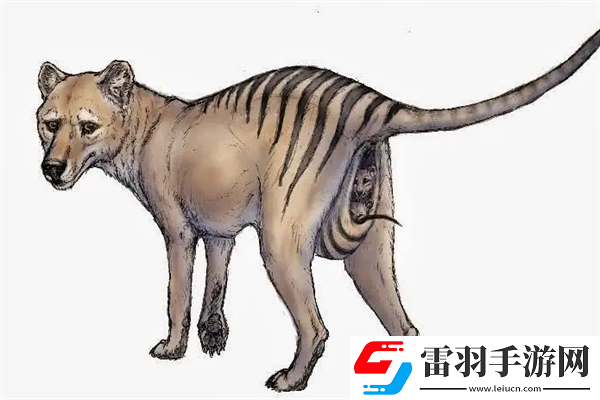 已經滅絕的十大動物