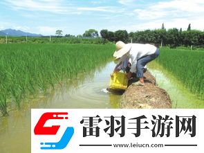 生態(tài)效益引領(lǐng)綠色未來