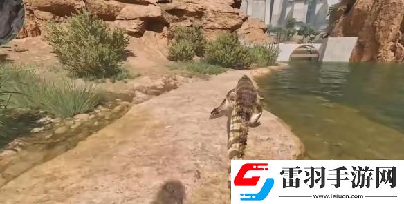 三角洲行動鱷魚在哪