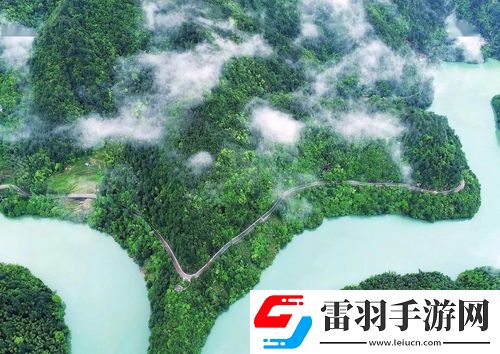 生態(tài)效益引領(lǐng)綠色未來