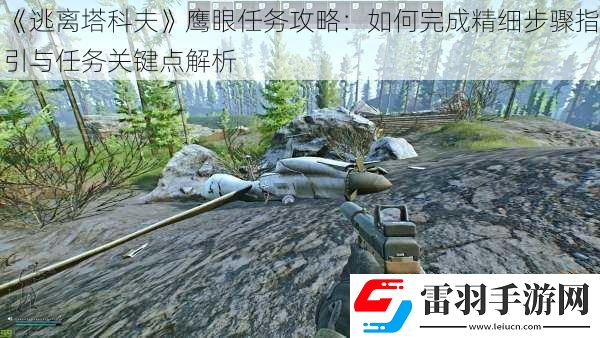 逃離塔科夫鷹眼任務攻略