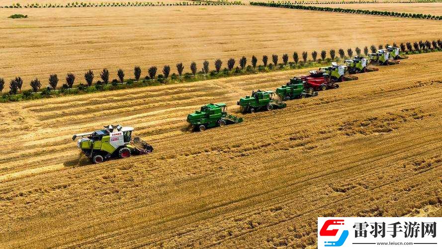 韓國朋友家麥子種植經驗