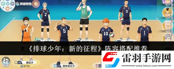 排球少年新的征程陣容怎么搭配