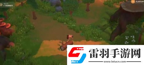 珊瑚島刷硬木攻略