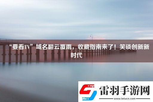 “要看TV”域名翻云覆雨收藏指南來了!笑談創新新時代