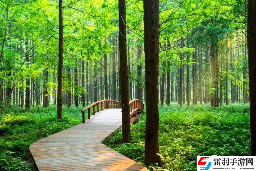 邁開腿去探索嘗嘗你的森林別樣體驗