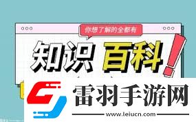 解析xiaosuo的含義是什么