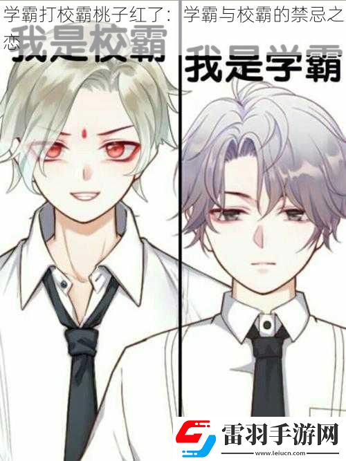 學霸打校霸桃子紅了