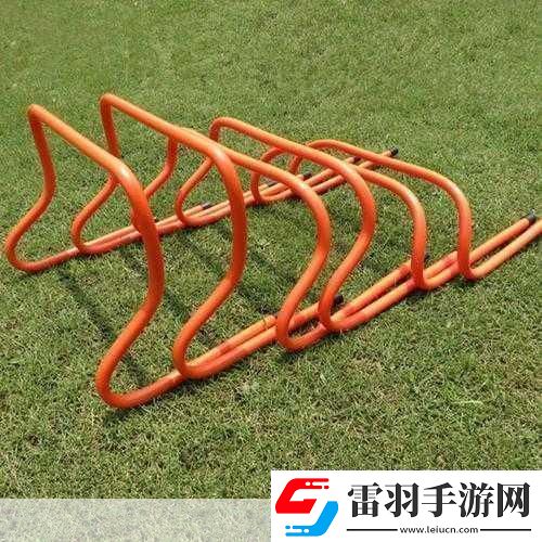 放學后的體育器材