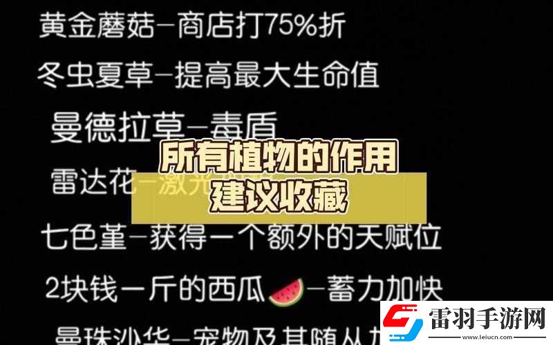 元氣騎士冬蟲夏草的作用及具體用法全面詳細解析