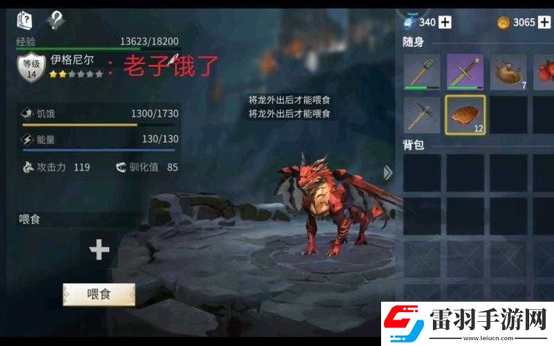 冰原守衛(wèi)者