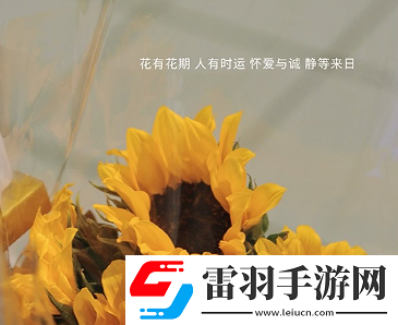 信任一旦崩塌就難以修復說說信任在一瞬間崩塌說說