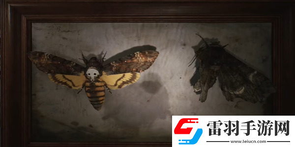 寂靜嶺2重制版202蛾子房間密碼鎖怎么開