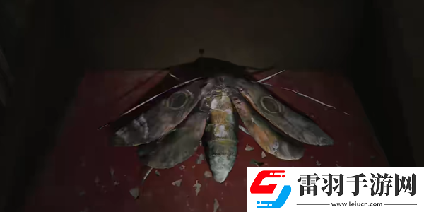 寂靜嶺2重制版202蛾子房間密碼鎖怎么開