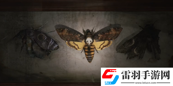 寂靜嶺2重制版202蛾子房間密碼鎖怎么開