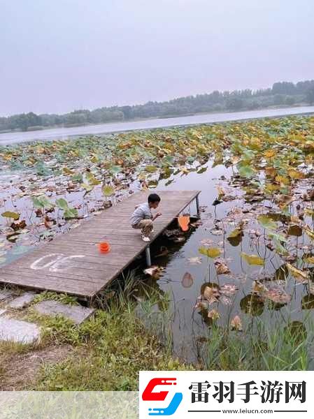 揭秘99無人區碼一碼二碼三1080p不再是夢