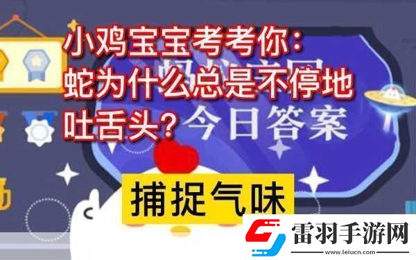 小雞寶寶考考你