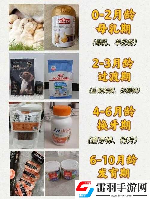 人狗膠配方大全狗狗