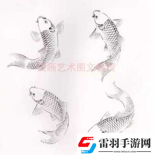 鯉魚吸水怎么練的圖片視頻