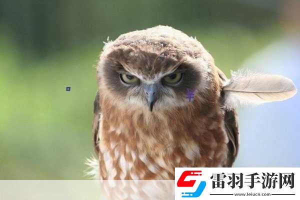 137VT最大但人文藝術