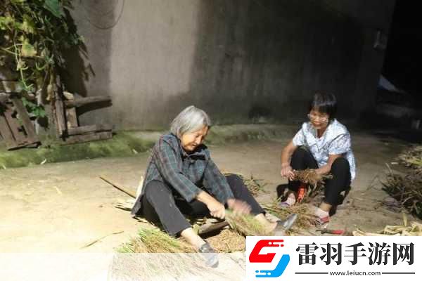 耕耘大嬸的肥沃的土地