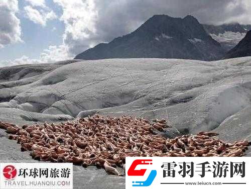 四房播播人體藝術