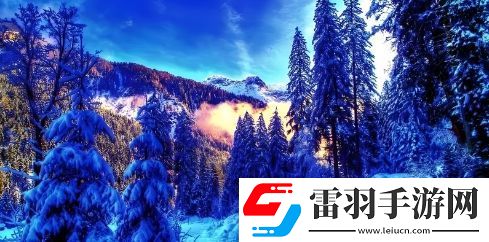 weyvv5國產的suv多少錢