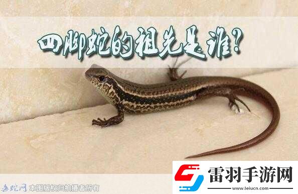 民間說法稱清明蔗毒過蛇真正原因是