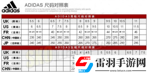 三葉草尺碼歐洲碼