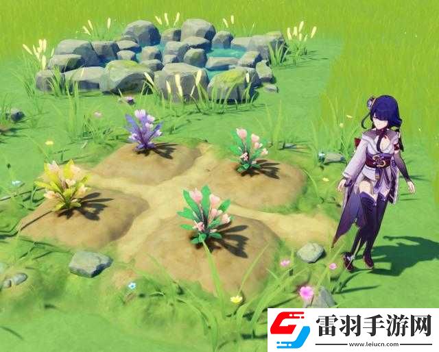 原神夢里生花活動玩法夢里生花種花玩法獎勵