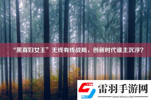 “黑寡婦女王”無線有線戰(zhàn)局