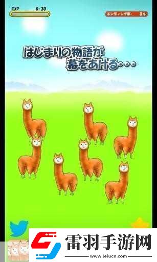 深度解析***兄貴