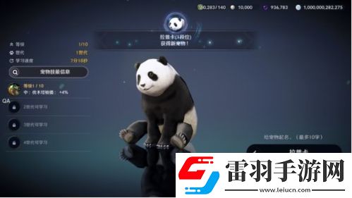 黑色沙漠手游熊貓任務怎么做