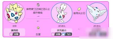 寶可夢劍盾波克基斯