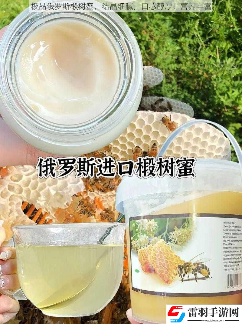 極品俄羅斯椴樹(shù)蜜
