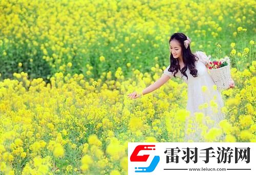 國(guó)內(nèi)永久免費(fèi)crm免費(fèi)9527