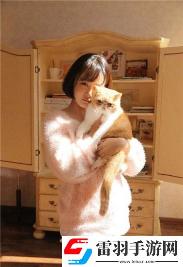 不需下載直接觀看入