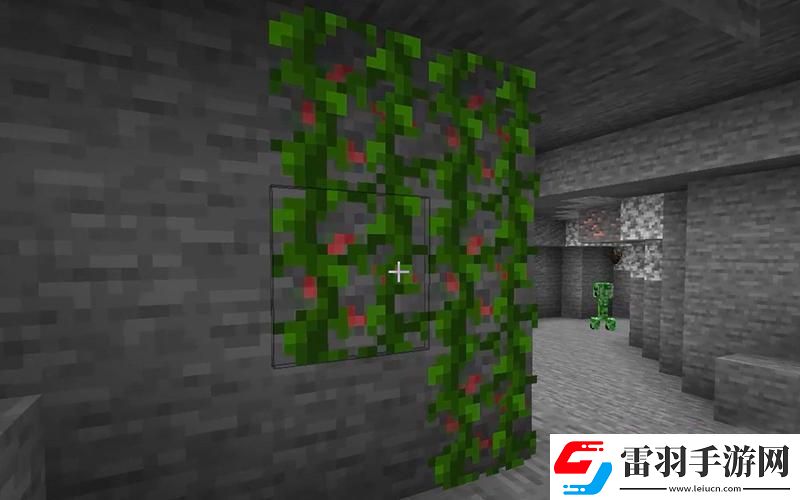 我的世界藤蔓全攻略解鎖多樣用途與采集技巧