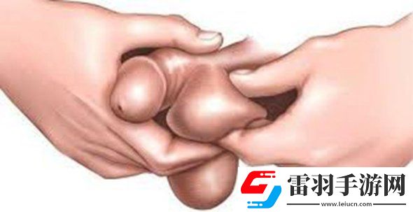 2025年皮筋綁**教程圖片