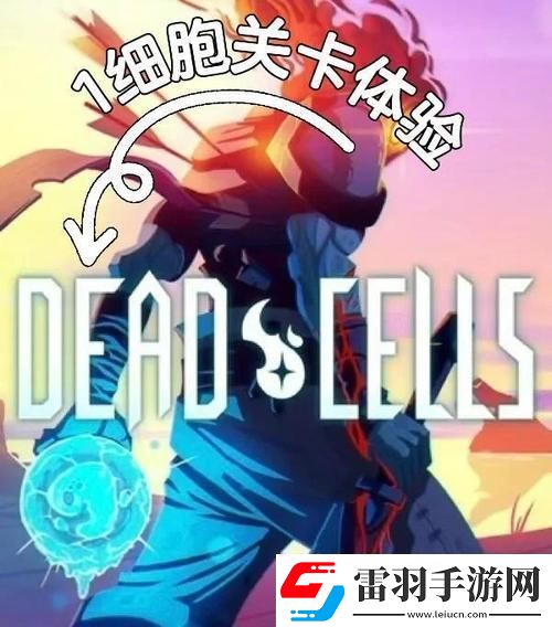 重生細胞導入別人的云存檔全解析