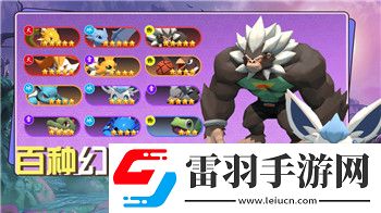 大江湖之蒼龍與白鳥大雪山藏寶圖怎么用