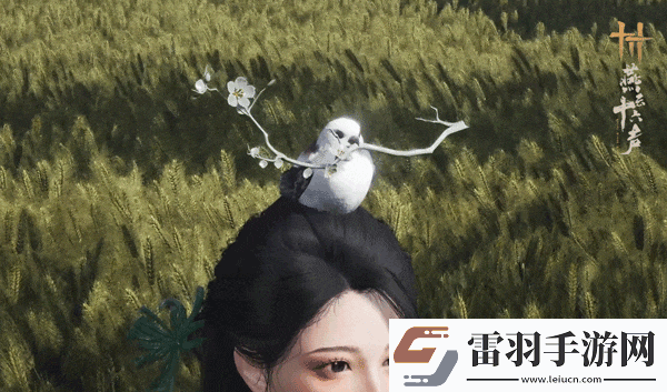 燕云十六聲全新外觀爆料